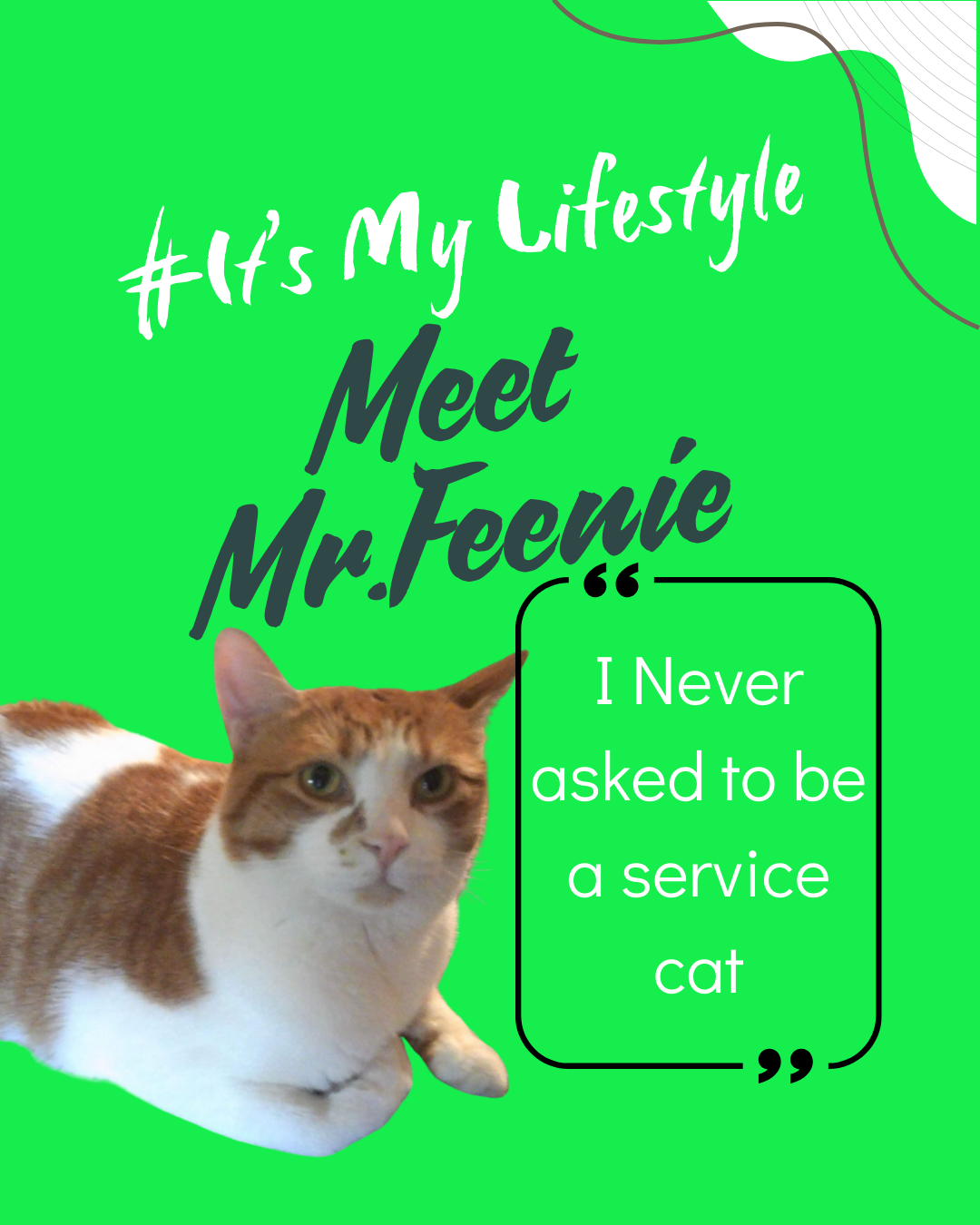 Meet Mr. Feenie